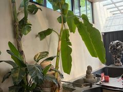 -单家老院·院子里的青岛菜(沙子口店)