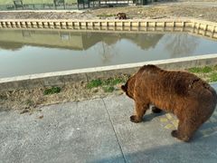 -上海野生动物园