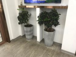 -痘院长·祛痘·科技美肤