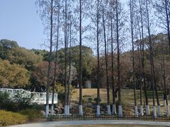 -昆山城市公园