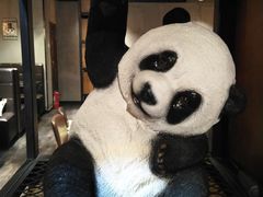 -晓鲜熊猫烤鱼烤吧(西三旗百汇北门店)