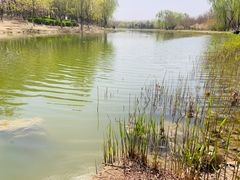 -大兴滨河森林公园