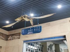 -安徽省地质博物馆