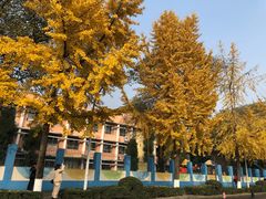 -四川大学(望江校区)