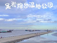-上海吴淞炮台湾国家湿地公园