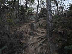-惠山国家森林公园