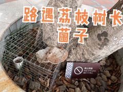 -广州神农草堂中医药博物馆