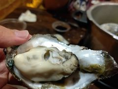 -土蚝·高压锅生蚝(百姓美食街店)