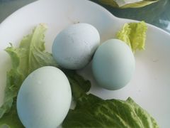 -巩本明鱼屋子