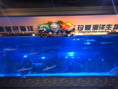 -成都浩海立方海洋公园