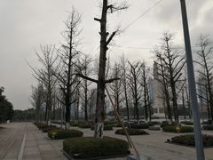 -百林公园-两江幸福广场