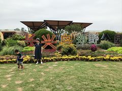 -上海长兴岛郊野公园