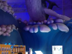 -烟台海昌鲸鲨海洋公园