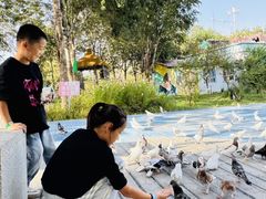 -水上乐园·欢乐世界