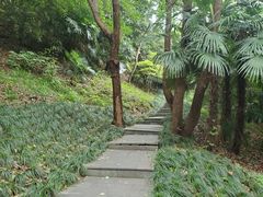 -镇江市南山风景名胜区竹林景区