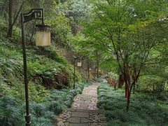 -梦姑塘文化公园
