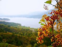 -十三陵水库