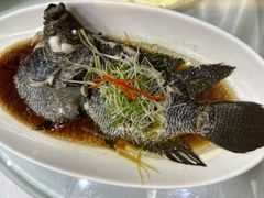 -骏莱海鲜鱼港(五角场店)