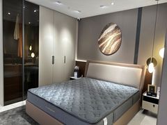 -索菲亚全屋定制衣柜橱柜家具(通州运乔居然之家店)
