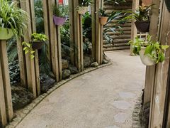 -南山植物园