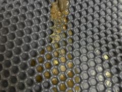 -瑞派宠物医院(锦江店)