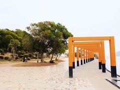 -漳州滨海火山岛自然生态风景区