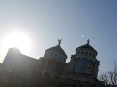 -星光岛