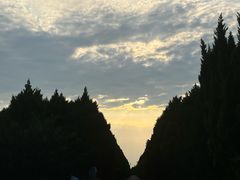 -秦始皇帝陵博物院-丽山园