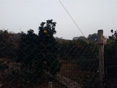 -雨花胜境