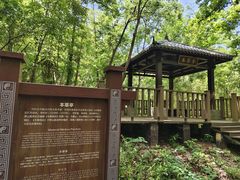 -句容茅山景区