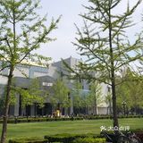 北京游之打卡清华大学~游玩攻略