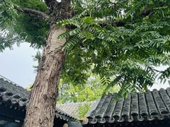 -SUSU·苏苏(四合院创始店)