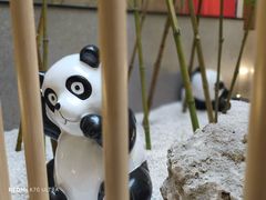 -蓉府金足印象(清江西路店)