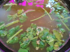 -小杨生煎(成山巴黎春天店)