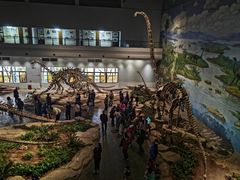 -自贡恐龙博物馆