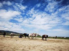 -青海湖国家重点风景名胜区