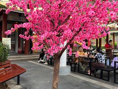 -三亚南山文化旅游区