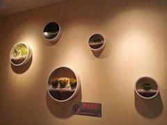 -安悦煎饼(河北店)