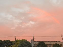 -风向标WIND VANE SALON