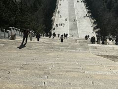 -中原大佛景区