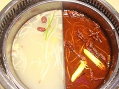 鸳鸯锅底-卤校长老火锅毕节店(招商花园城店)
