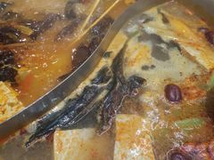 -黔哆哆地摊酸汤火锅(清湖店)