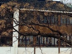 -青果巷历史文化街区