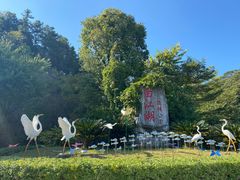 -广州白江湖森林公园