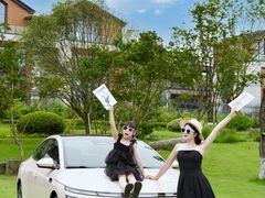 -铁山坪森林公园