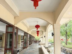 -三亚亚龙湾金棕榈度假酒店