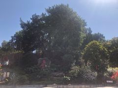 -乌山风景区