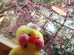 -NLFS1983咖啡花园餐厅(锦桂店)