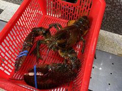 -蚝专家(北滘店)