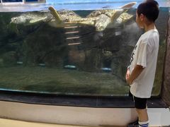 -福州罗源湾海洋世界旅游区